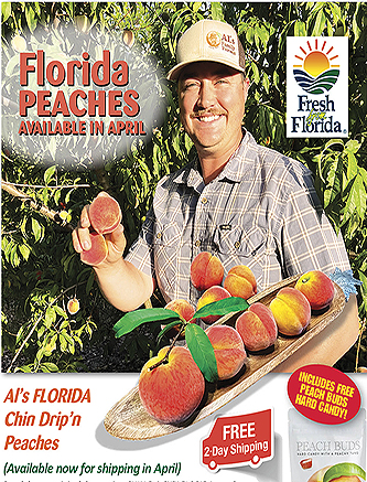 Florida Peaches